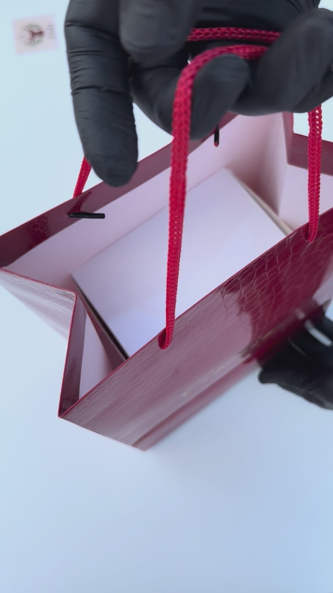 Cartier Watch Packaging Set – Premium Box with Cards, Catalogs & Shopping Bag